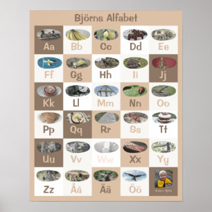 Customizable Swedish Alphabet Poster