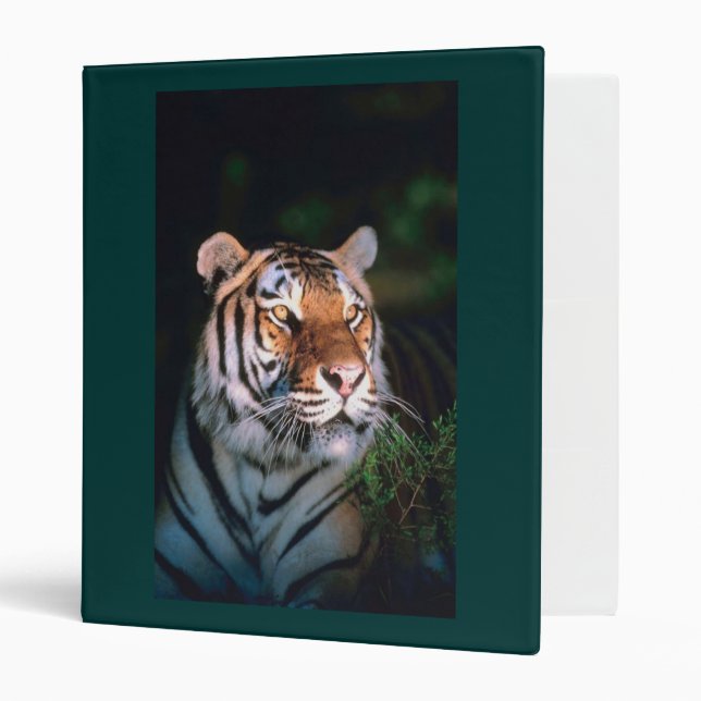 Customizable Tiger Binder (Front/Inside)