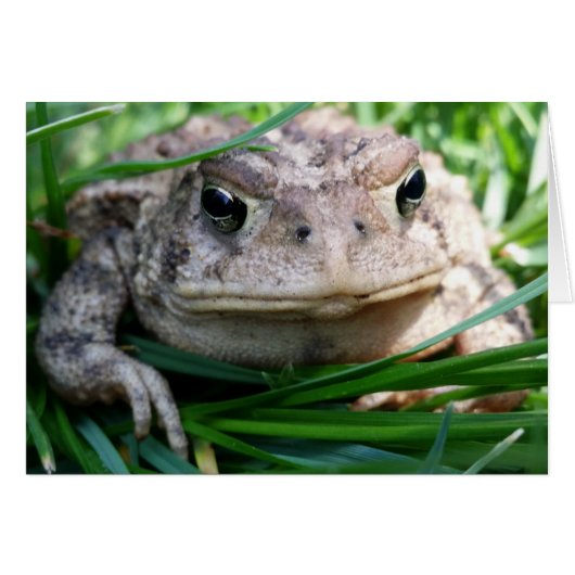 Customizable toad card (Front Horizontal)