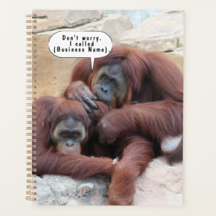 Customizable Turtles Notebook