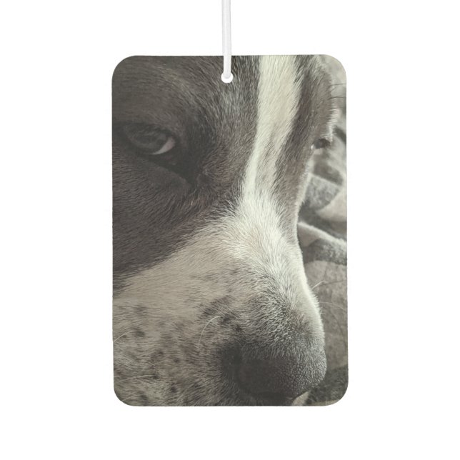 Customizable Two-Sided Photo Air Freshener (Front)