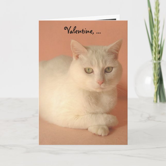 Customizable Valentine Cats Holiday Card (Front)