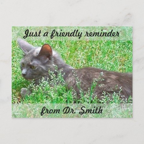 Customizable Veterinary Checkup Reminder Postcard