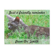 Customizable Veterinary Checkup Reminder