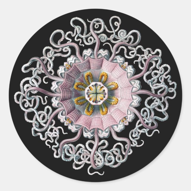 Customizable Vintage Haeckel Classic Round Sticker (Front)