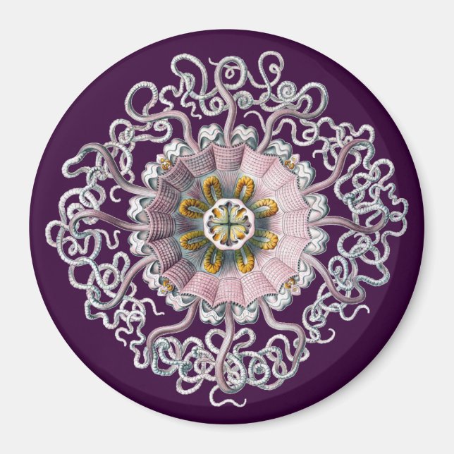 Customizable Vintage Haeckel Magnet (Front)