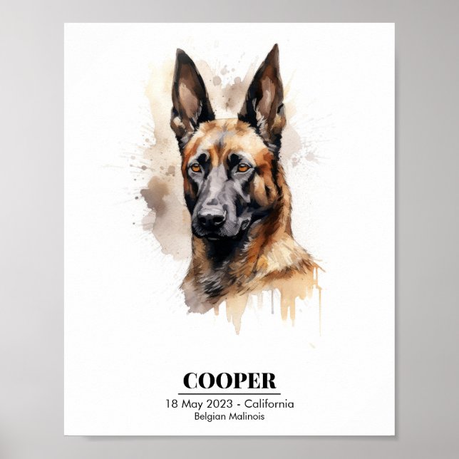 Customizable Watercolor Painting of Malinois Poster (Front)