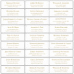 Customizable wedding guest address labels sticker<br><div class="desc">Easy to personalize,  names and addresses / individual wedding shipping address label stickers for guests.</div>
