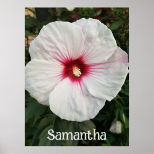 Customizable White Hibiscus with Hot Pink Center Poster