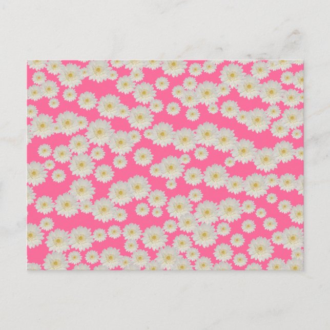 Customizable White Mums Postcard (Front)