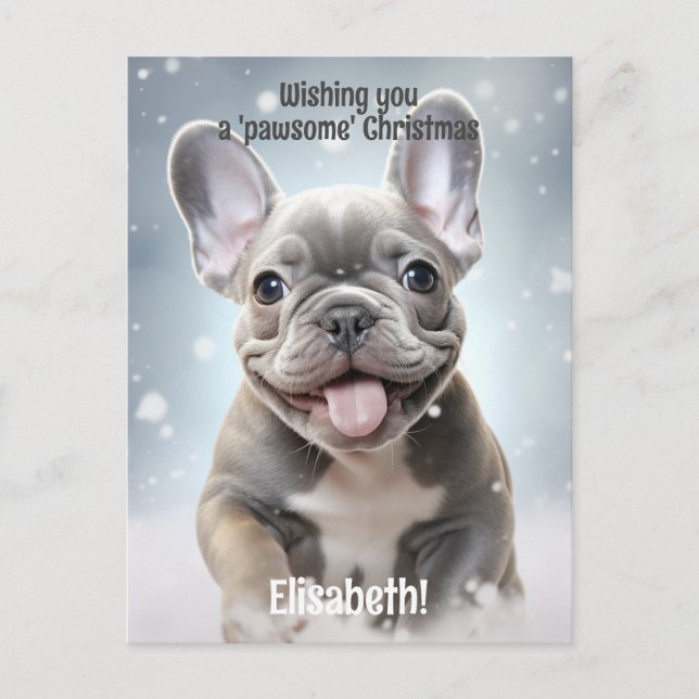  Customizable Winter Paws of Joy Postcard (Front)