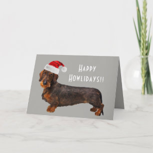 Customizable Wire Haired Dachshund Holiday Card