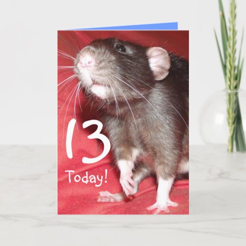 customizable year number Dumbo rat Birthday card