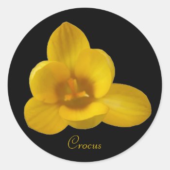 Customizable Yellow Crocus Sticker by Fallen_Angel_483 at Zazzle