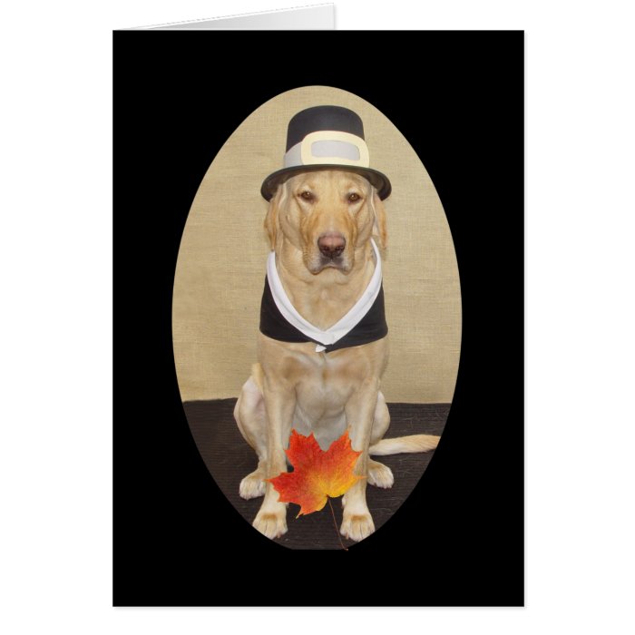 Customizable Yellow Lab Pilgrim Greeting Card