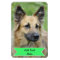 Customize a Family Pet Photo Magnet Add Text