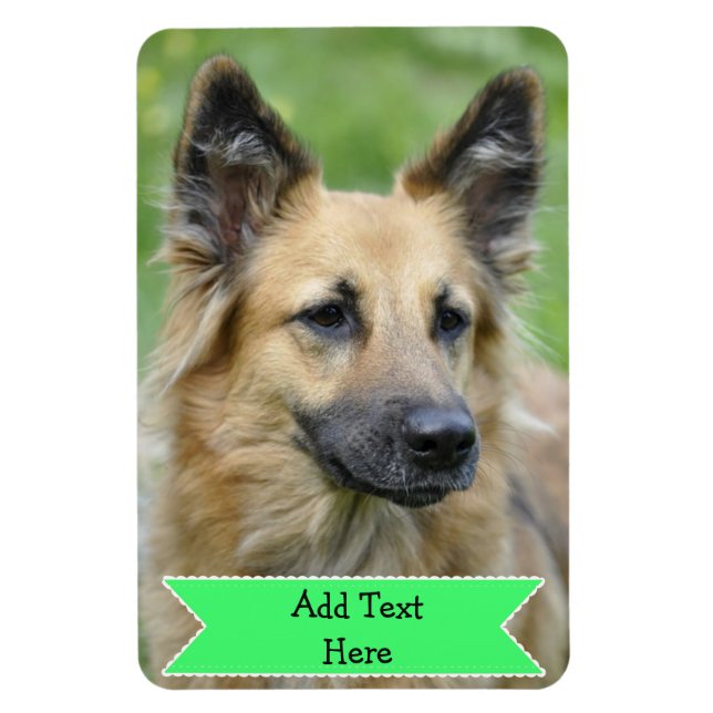 Customize a Family Pet Photo Magnet Add Text (Vertical)