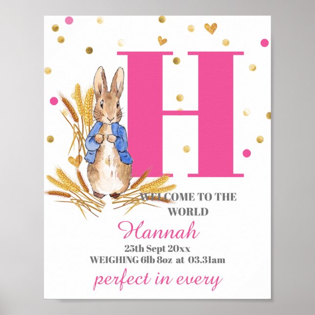 Customize Baby Girl Birth Poster (Front)