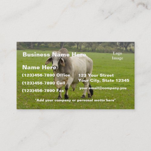 Customize Brahman aka Brahma Bull in Field Business Card