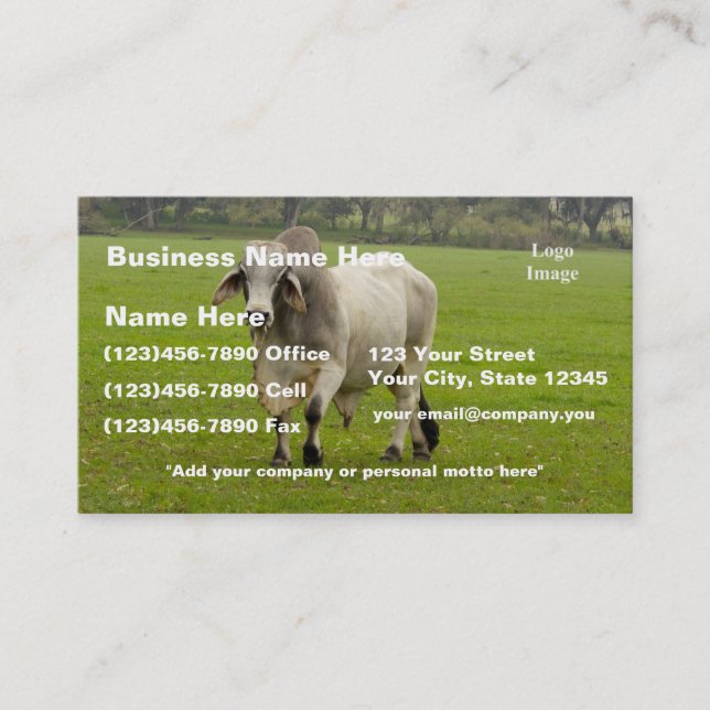 (Customize) Brahman (aka. Brahma) Bull in Field Business Card (Front)