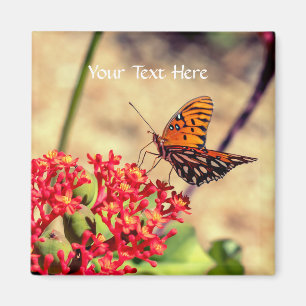 Customize butterfly magnet