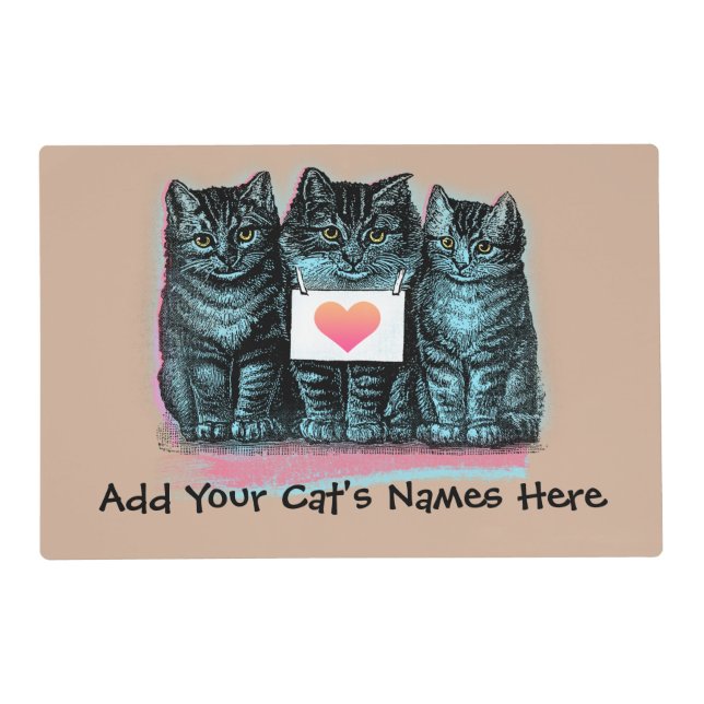 Customize Cute Vintage Cat Food Mat with Name (Front)