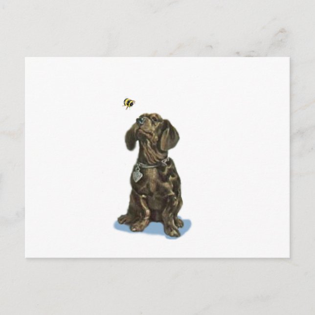 Customize Dachshund and bee vintage art gifts Postcard (Front)