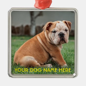 Customize Dog Ornament by MushiStore at Zazzle