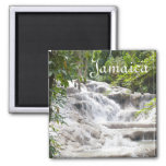 Customize Dunn’s River Falls Photo Magnet at Zazzle
