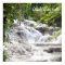 Customize Dunn’s River Falls photo