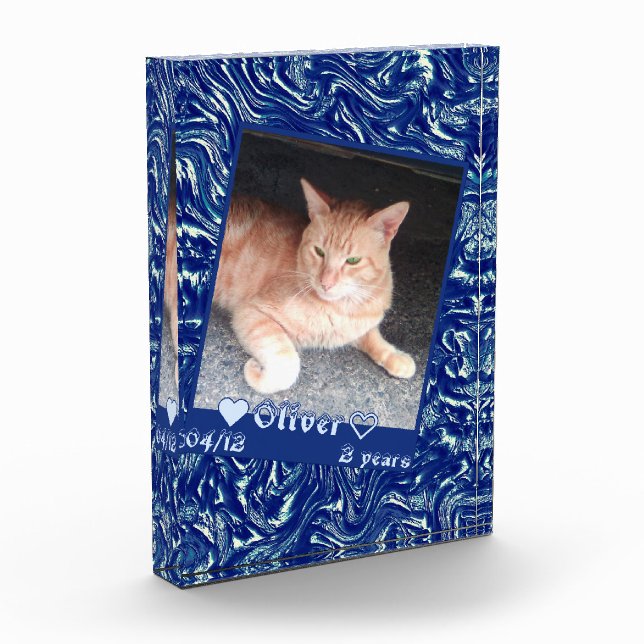 Customize frame photo cat pet on dark blue texture block (Left)