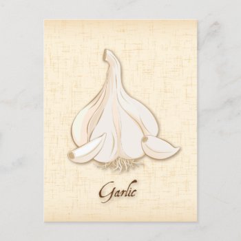 Customize Garlic Postcard by pomegranate_gallery at Zazzle