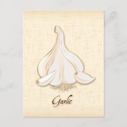 Customize Garlic Postcard