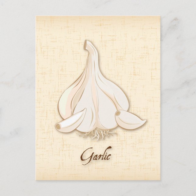Customize Garlic Postcard (Front)