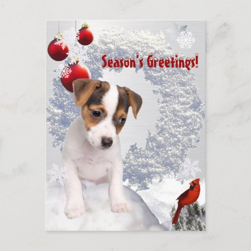 Customize It  Jack Russell Terrier Christmas Wish Holiday Postcard