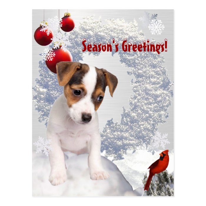 Customize It  Jack Russell Terrier Christmas Wish Post Card