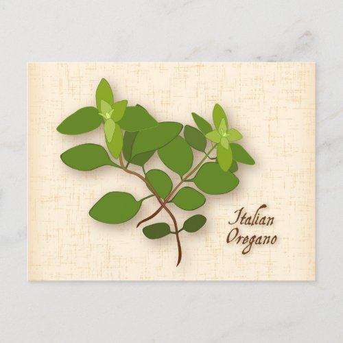 Customize Italian Oregano Postcard