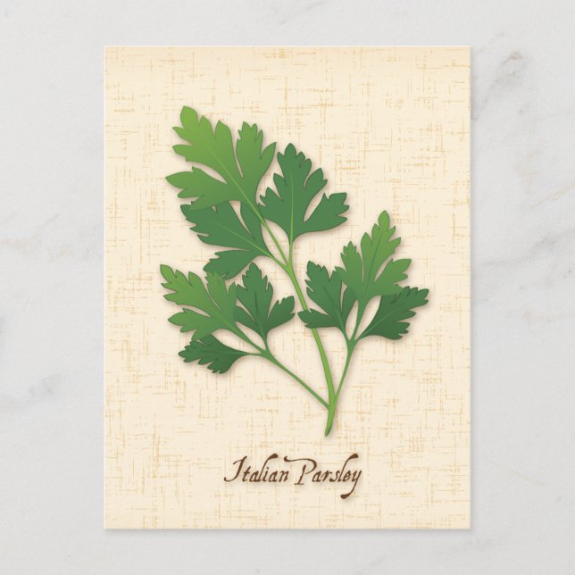 Customize Italian Parsley Postcard (Front)