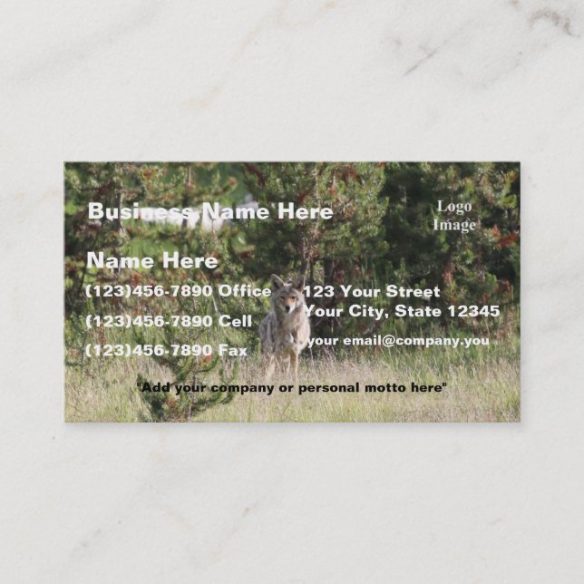 (Customize) Nice Coyote photo in Yellowstone Business Card (Front)