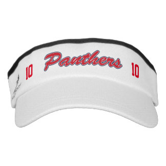 Customize Panther visor