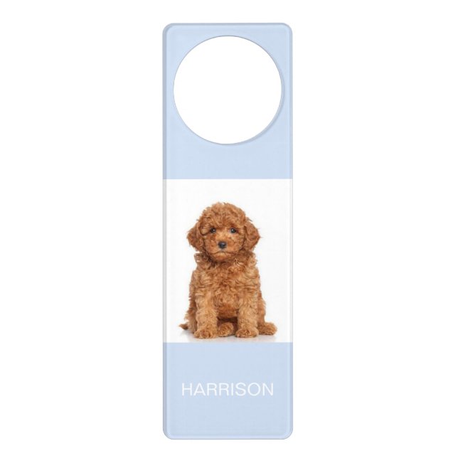 Customize, personalize with Name, photo Door Hanger (Front)