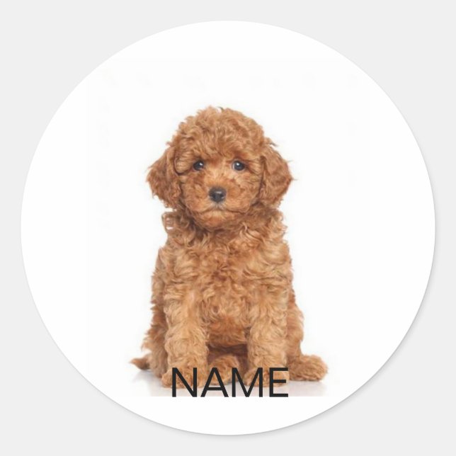 Customize personalize with photo & name classic round sticker (Front)