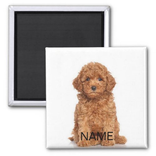Customize personalize with photo  name magnet