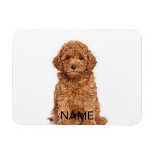 Customize personalize with photo & name magnet