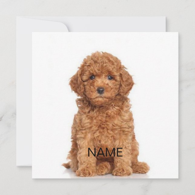 Customize personalize with photo & name note card (Front)
