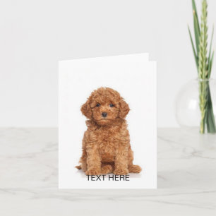 Customize personalize with photo & name note card