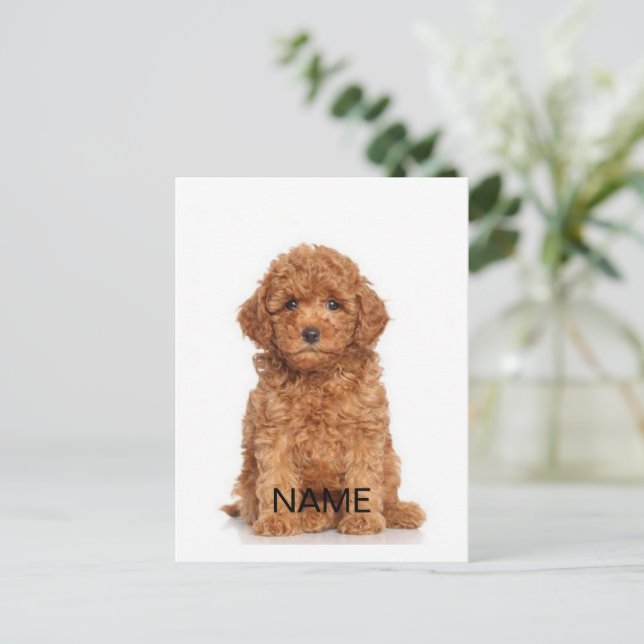 Customize personalize with photo & name postcard (Standing Front)