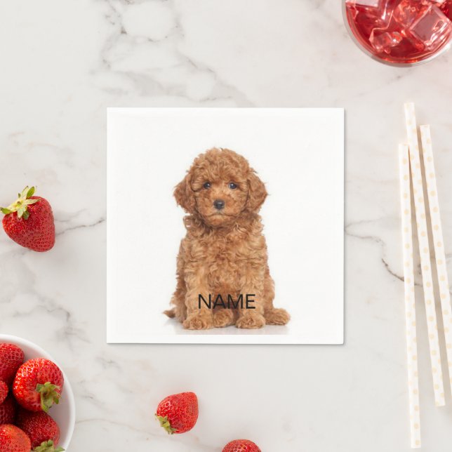 Customize, personalize with photo, name, text napkins (Insitu)