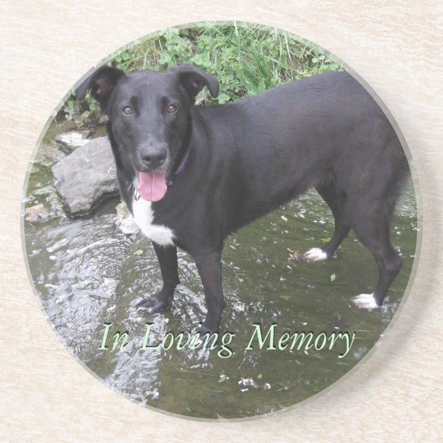 customize personalized photo sandstone coaster (Front)