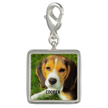 Customize Pet Dog Photo Charm by HasCreations at Zazzle